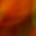 Bokeh-327